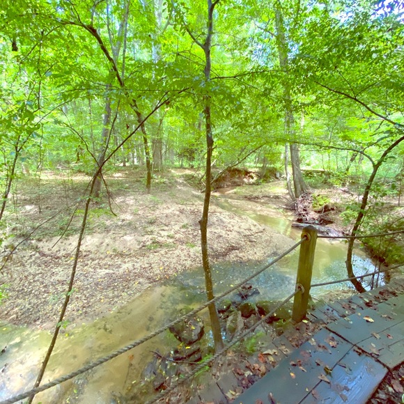 Hey!!! - Picture 1 of 1